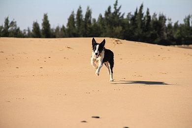 虚幻引擎5.1自制经典FPS游戏《血祭》初始场景